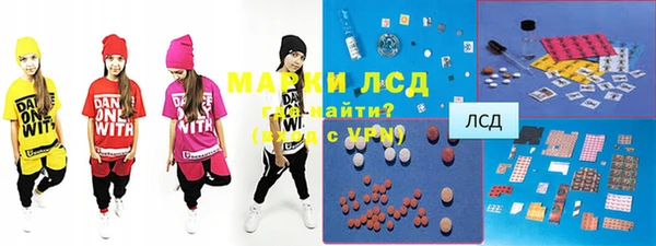 шишки Беломорск
