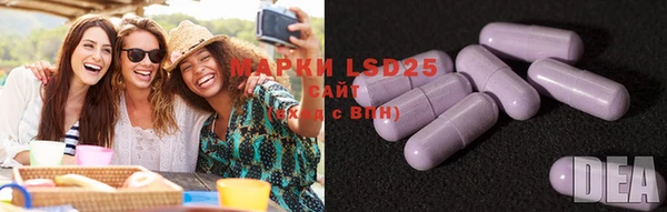 PSILOCYBIN Белоозёрский