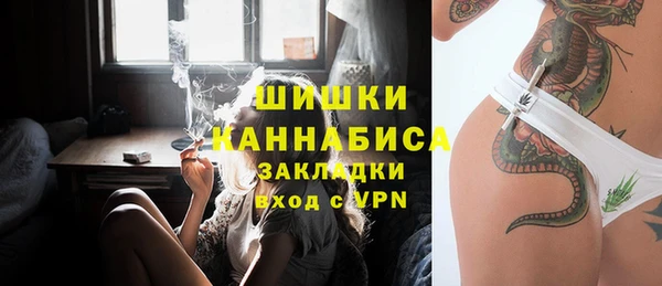 шишки Беломорск