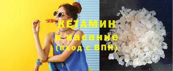 шишки Белокуриха