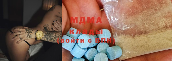 шишки Белокуриха