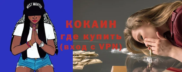 шишки Белокуриха