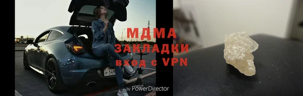 шишки Белокуриха