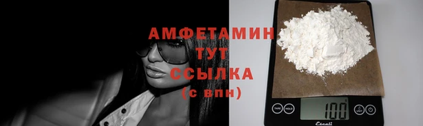 шишки Белокуриха