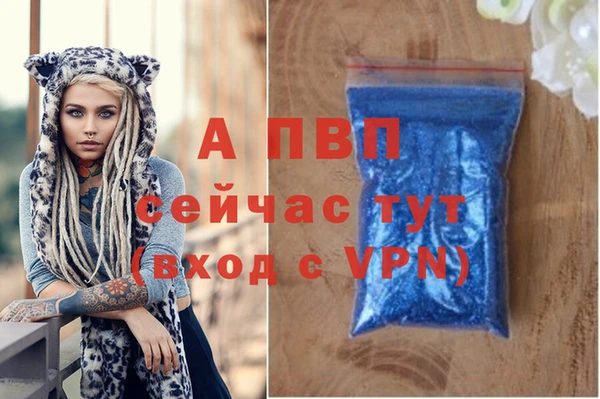 PSILOCYBIN Белоозёрский
