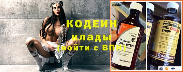шишки Беломорск