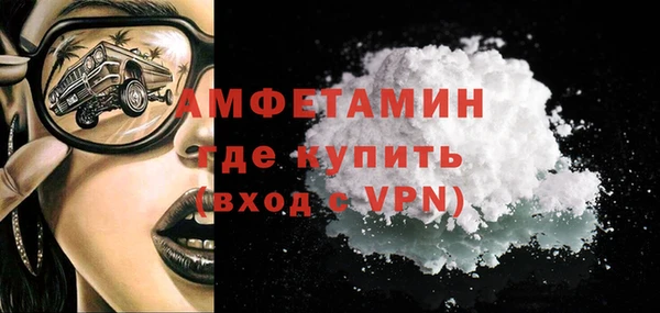 шишки Беломорск