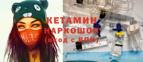 шишки Белокуриха