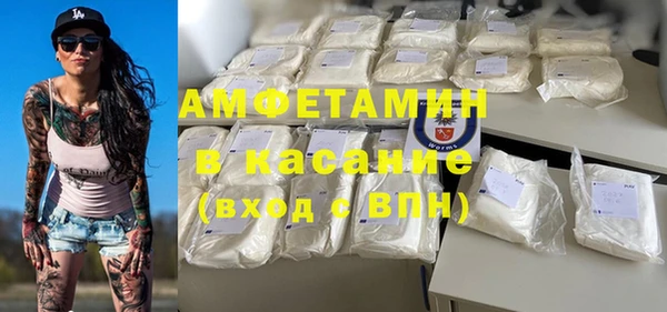 шишки Белокуриха