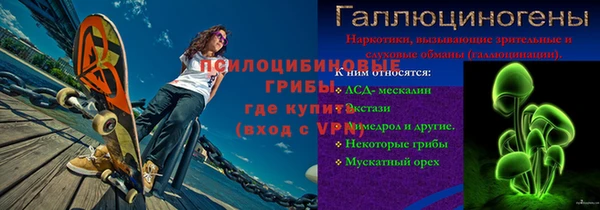 шишки Белокуриха