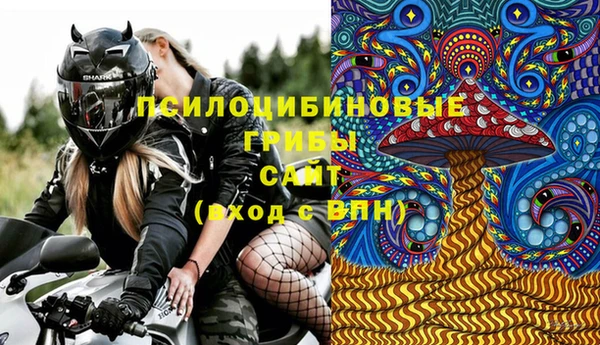 PSILOCYBIN Белоозёрский