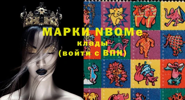 шишки Белокуриха