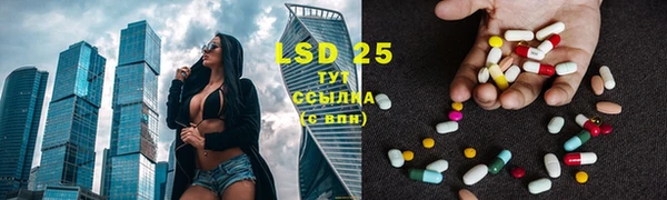 шишки Белокуриха
