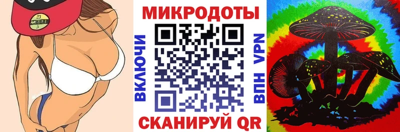 Псилоцибиновые грибы Psilocybine cubensis  Мглин 